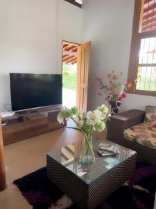 TV a/nebo společenská místnost v ubytování finca Encanto