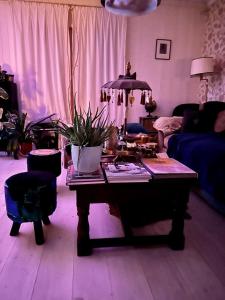 Ollallaa Hiiumaa في Kõrgessaare: غرفة معيشة مع طاولة عليها نباتات الفخار
