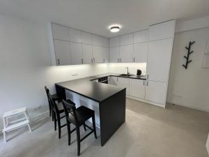 Kuchyňa alebo kuchynka v ubytovaní Apartament Smart Kamienica Grochów with free parking