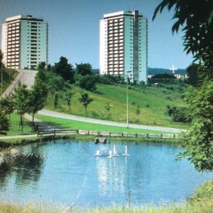 two swans in a pond in a park with buildings at Ferienwohnung App 256 in Braunlage