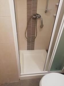 a shower with a glass door and a toilet in a bathroom at Studio Old Centar in Cres