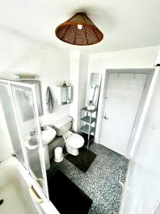 a bathroom with a toilet and a sink and a shower at Custom House, 1 room, Dublin 1 in Dublin