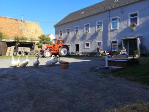 um grupo de gansos em pé em frente a um edifício em Gutshof und Ferienwohnung Proft 