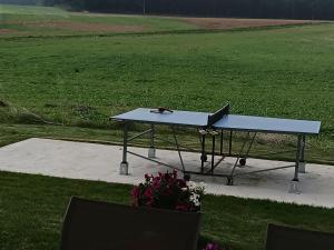 a picnic table in the middle of a field at Chambre d'hôtes Le Domaine des Hirondelles in Champcenest