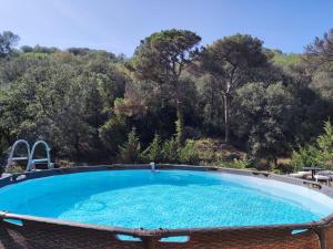 einen Pool mit Blick auf die Bäume in der Unterkunft Loft Vallromanes in Vallromanas