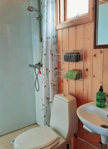 a bathroom with a toilet and a sink at Lambhus Glacier View Cabins in Höfn