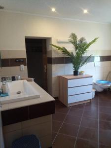 La salle de bains est pourvue d'un lavabo et d'une plante en pot. dans l'établissement Landidyll, à Breitenbrunn/Erzgeb.