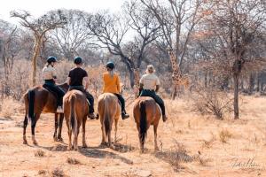 a group of people riding horses in a field at Gabus Safari Lodge in Otavi