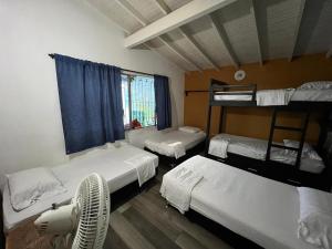 sypialnia z 2 łóżkami piętrowymi i oknem w obiekcie The Wandering Paisa w mieście Medellín