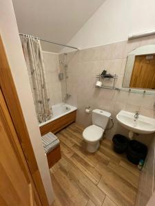 La salle de bains est pourvue de toilettes, d'un lavabo et d'une baignoire. dans l'établissement Parks Guest House, à Sigulda