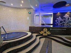 Foto de la galeria de Spa Hotel Iris a Karlovy Vary