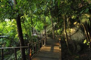 a wooden walkway in the middle of the forest at Japamala Resort by Samadhi - Adults Only in Tioman Island