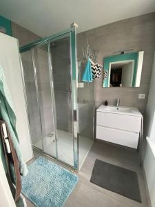 een badkamer met douche, wastafel en toilet bij La maison Familiale in Dijon +18 foto's