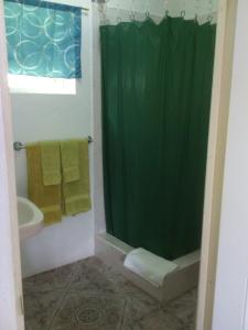 a bathroom with a shower with a green shower curtain at Polish Princess Guest House in Port Antonio