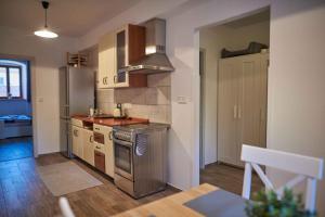 a kitchen with a stainless steel stove and refrigerator at Domeček Slavonice in Slavonice +26 photos