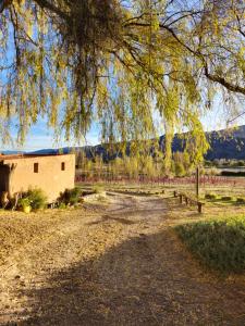 uma árvore pendurada sobre uma estrada de terra ao lado de um edifício em Finca Tuluz em Huacalera