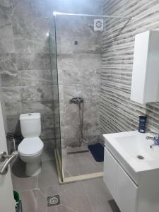 e bagno con doccia, servizi igienici e lavandino. di Apartment Dastidi a Kosovo Polje