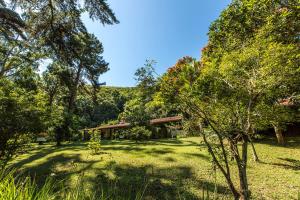 a house in the middle of a field with trees at Boutique Hotel Colinas Petrópolis by Ateliê in Petrópolis