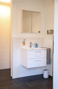 a bathroom with a white sink and a mirror at Appartement Burgblick in Harburg