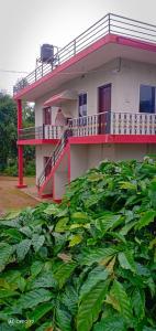 uma casa com uma varanda e um monte de plantas em Nithin homestay, private 3bedrooms house,madikeri em Madikeri