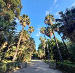 a street lined with palm trees in a park at La Dimora di Antonella in Naples