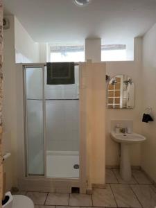 a bathroom with a shower and a sink at Studio Bardin in La Charité-sur-Loire