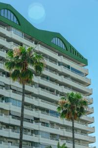 a tall building with palm trees in front of it at AR Roca Esmeralda & SPA Hotel in Calpe