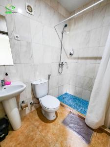 a bathroom with a shower and a toilet and a sink at Pousada Green Place in Ribeira Grande