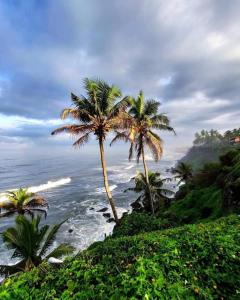 two palm trees on a hill next to the ocean at Love Villa in Kottiyam
