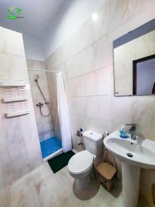 a bathroom with a toilet and a sink and a shower at Pousada Green Place in Ribeira Grande