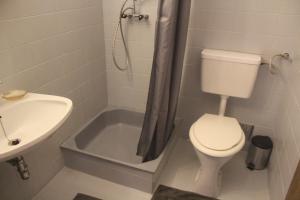 a bathroom with a toilet and a sink at Pension Bernhard in Landl