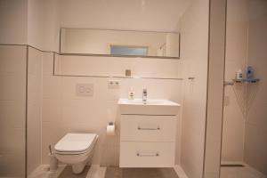 a bathroom with a toilet and a sink and a mirror at Landgut Rastede Hostemost in Rastede
