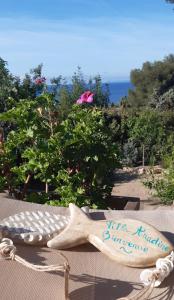 uma estrela-do-mar de madeira sentada em cima de uma mesa em VILLA ANADINE - Aiguebonne BOULOURIS - PLEINE VUE MER - À 5 minutes à pied de la plage - Climatisée em Saint-Raphaël