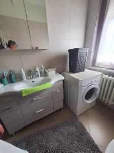 La salle de bains est pourvue d'un lavabo et d'un lave-linge. dans l'établissement Appartamento Vinovo Centro, à Vinovo