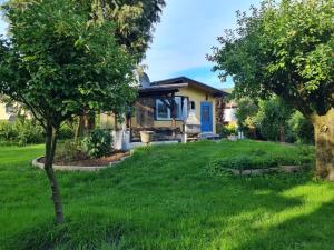 a house with a yard with green grass and trees at Haus im Gruenen in Weilbach