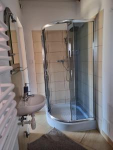 La salle de bains est pourvue d'une douche et d'un lavabo. dans l'établissement Dom u Julii nad Strwiążem -Bieszczady, à Ustrzyki Dolne