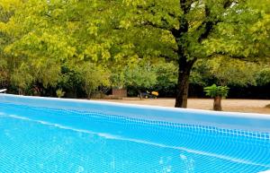 uma piscina azul com uma árvore ao fundo em L'AUGLANAS em Tauriac-de-Naucelle