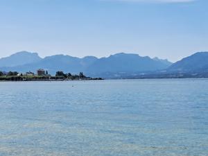 a large body of water with mountains in the background at Studio Cécilia in Aix-les-Bains