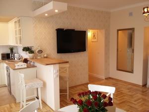 ワルシャワにあるWarsaw Kredytowa Apartmentのキッチン、リビングルーム(壁掛けテレビ付)