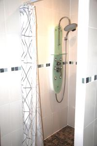 a shower in a bathroom with a green tank at Logement agréable et tranquille in Fontenay-Trésigny