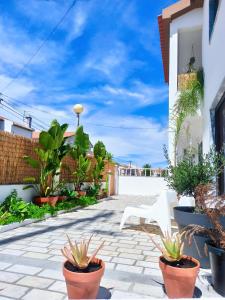 a courtyard with potted plants and a white chair at SUPERTUBOS HOUSE Peniche in Peniche