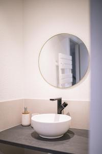 ein Bad mit einem Waschbecken und einem Spiegel in der Unterkunft Le Beauvoir in Saint-Marcellin