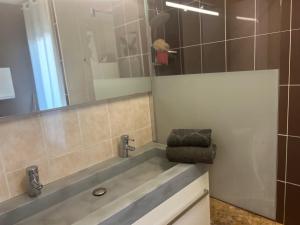 a bathroom with a sink and a mirror at la petite bulle in Montagnat