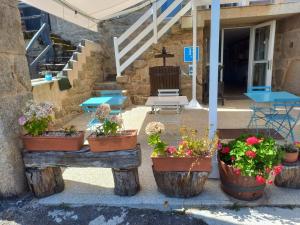 um grupo de vasos de plantas em um banco em frente a um edifício em Pensión O Corazón da Ribeira Sacra em La Teijeira