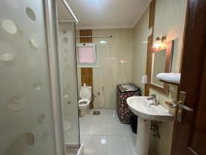 y baño con aseo, lavabo y ducha. en شقة مفروشة بالقاهرة مدينة المستقبل en Madīnat ash Shurūq