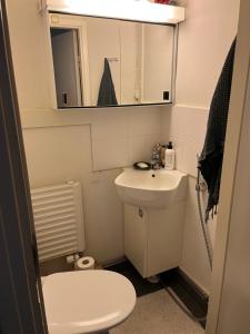 a small bathroom with a toilet and a sink at Valkolan kartano, vanha tupa in Hankasalmi