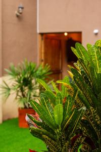 昆卡Rustic House的相册照片