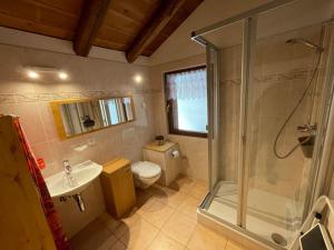 a bathroom with a shower and a toilet and a sink at La Grange à Coco avec jacuzzi in Bourg-Saint-Pierre