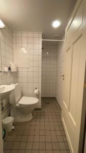 a bathroom with a toilet and a sink at City Centre in Copenhagen