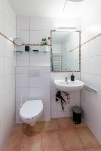 a white bathroom with a toilet and a sink at Schwarzwaldhimmel in Feldberg